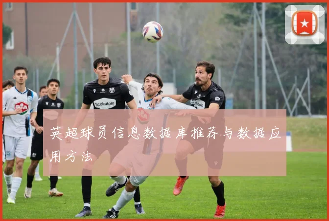 英超球员信息数据库推荐与数据应用方法