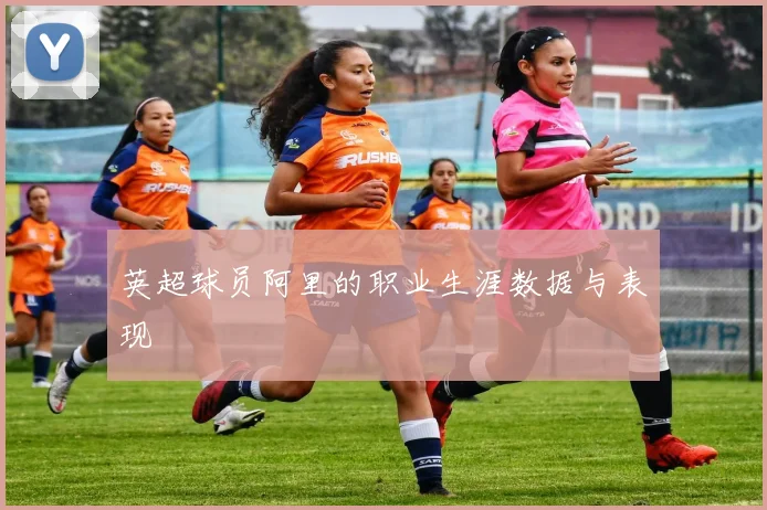 英超球员阿里的职业生涯数据与表现