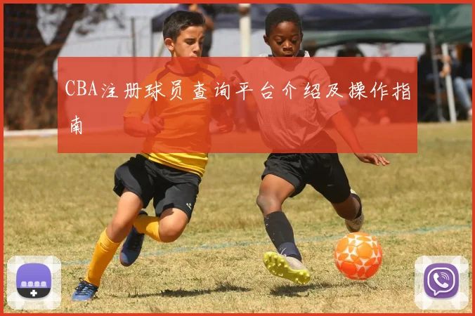 CBA注册球员查询平台介绍及操作指南