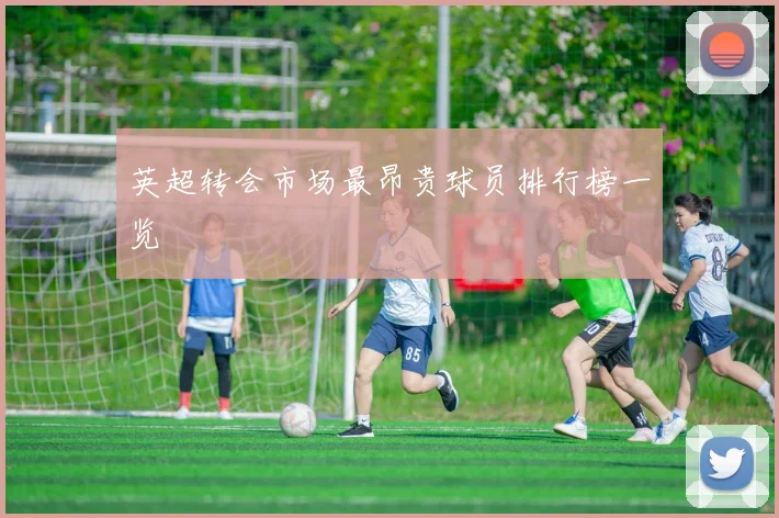 英超转会市场最昂贵球员排行榜一览