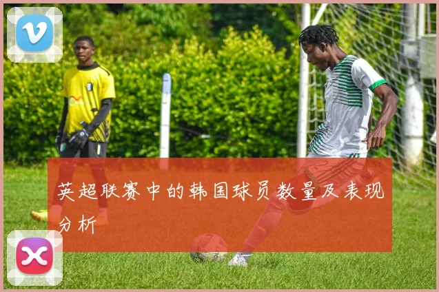 英超联赛中的韩国球员数量及表现分析