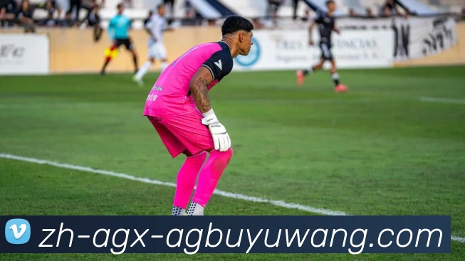 AG捕鱼王官网平台生态图